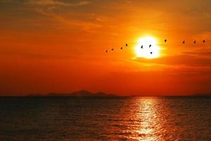 puesta de sol de nuevo en silueta nube naranja roja oscura en el cielo y pájaro volando foto