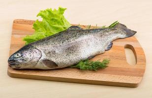 Raw fresh trout photo