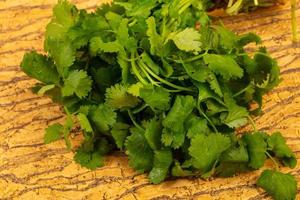 Fresh Coriander leaves photo