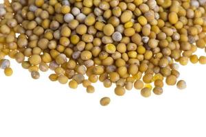 yellow mustard seeds photo