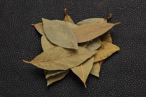 Dry laurel leaves photo