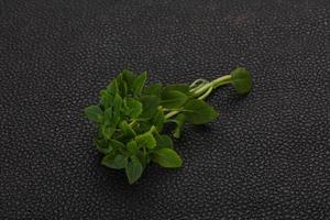 Green Basil leaves photo