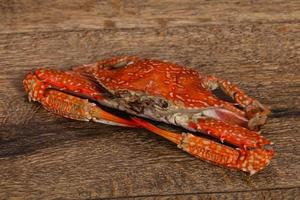 Boiled crab - ready for eat photo