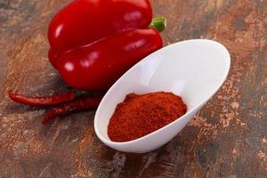 Paprika powder in the bowl photo