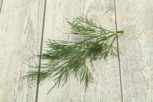 Fresh green dill herb branch photo