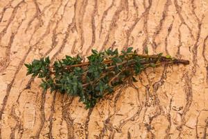 Green Thyme branch photo