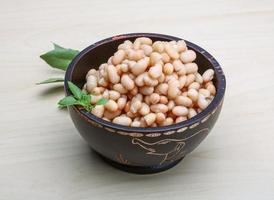 White canned beans photo