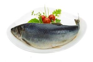 Marinated herring with herbs photo