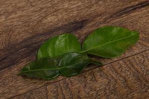 Kafir lime leaves - addition for Asian cuisine photo
