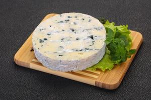 Round blue cheese photo