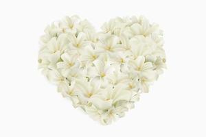 White flower heart isolated on a white background. Realistic EPS file. vector