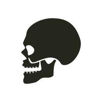 human skull icon illustration. vector design that is suitable for websites, apps.