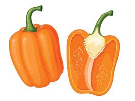 Sweet orange bell pepper. Illustration of vegetable in cartoon simple flat style.