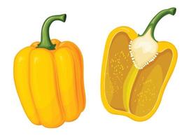 Sweet yellow bell pepper. Illustration of vegetable in cartoon simple flat style. vector