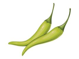 Green hot Chili pepper. Mexican traditional food. vector
