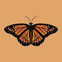 Butterfly with Colorful Design and Brown Background vector