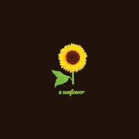 Sunflower with Beautiful Design and Brown Background vector