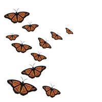 migración de mariposas con hermoso concepto y fondo blanco vector