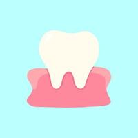 Teeth and gum flat vector illustration for medical, health, and education content