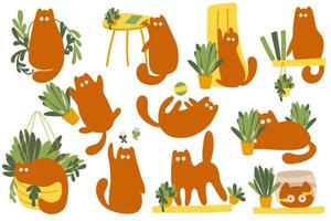 Set of fanny cats characters and plants. Vector character cute kitten. Cozy home with plants and red cat. Cartoon Animals Background, Vector Illustration