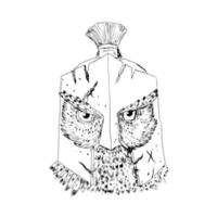 owl wearing spartan helmet vector