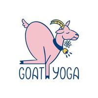 Goat yoga exercise trend illustration of farm animal. New fitness style concept isolated on white background. vector