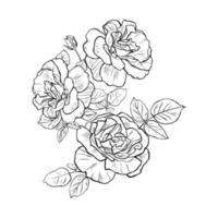 Line art invitation with hand drawn roses on white background. Simple vector illustration. Botanical print.