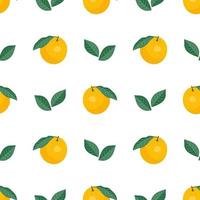 Seamless pattern of oranges and leaves on white. Fruit vector background