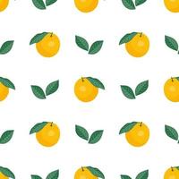 Seamless pattern of oranges and leaves on white. Fruit vector background