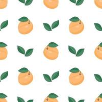 Seamless pattern with apricots and leaves. Modern apricot pattern. vector