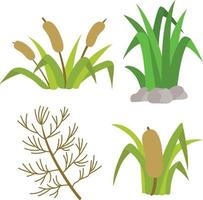 Set of weeds and grass vector