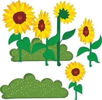 A garden with bushes and sunflower vector