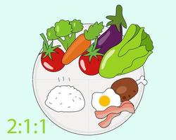 Healthy Plate Model concept.  Brown rice, Meat, vegetable and fruit. for your meal. vector