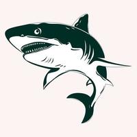 plantillas de diseño de arte gráfico de vectores de tiburón