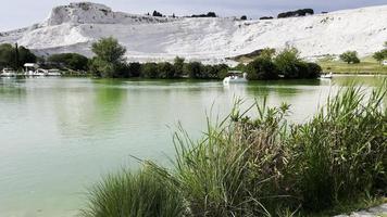 ganso greylag no lago na água termal place pamukkale na turquia