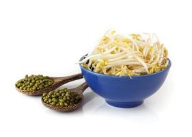 Fresh bean sprouts on white photo