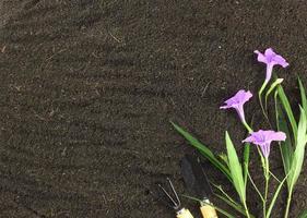 Top view of gardening tools and beautiful flower on soil. Agriculture background concept with copy space. photo