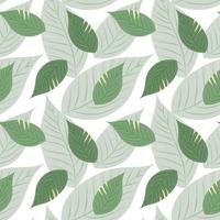 Seamless pattern of tropical leaves on a white background. Print, textile, wallpaper. vector