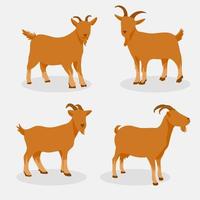 Goat Animal Qurban Faceless Illustration vector