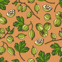 Gooseberry berry seamless pattern. Hand-drawn style. vector