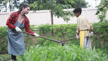 Boy and girl plow cultivating soil in agricultural plots video