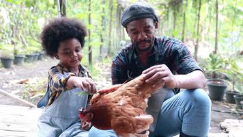 father and son raising chickens on farm video