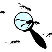 Vector illustration of a magnifying glass with black ants. Ants look big with a magnifying glass. Isolated on a white background.