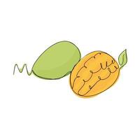 Vector illustration of a mango. Drawing of mango fruit with one continuous line. On a white background.