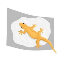 ilustración vectorial de un lagarto. la lagartija se pega al pegamento. trampas para erradicar lagartijas caseras. ideal para imágenes de productos repelentes de lagartos. vector