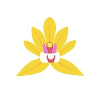 Vector illustration of an orchid flower. Orchids are yellow. Isolated on a white background. Great for home decor and web logos.