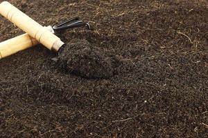 Close up fertile loamy soil for planting on spoon with copy space. Plant Nutrients, Macronutrients,Micronutrients. Agriculture concept. photo