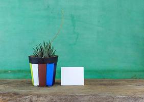 Plant and paper photo