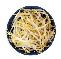 Top view of bean sprout photo