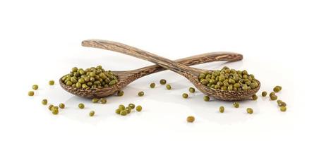 Raw mung bean photo